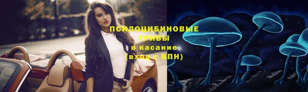 spice Заволжье