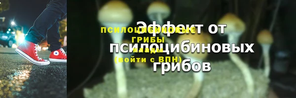 тгк Заводоуковск