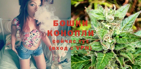тгк Заводоуковск