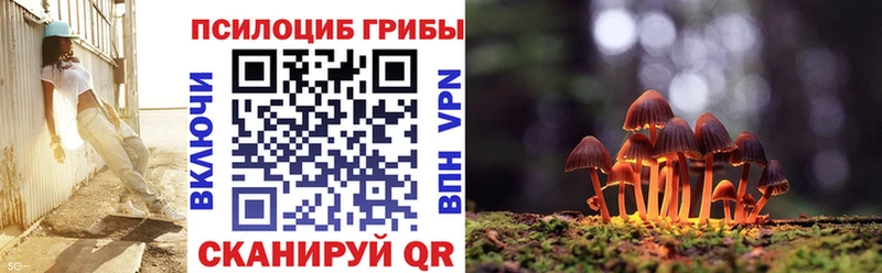купить закладку  Иннополис  Галлюциногенные грибы Magic Shrooms 